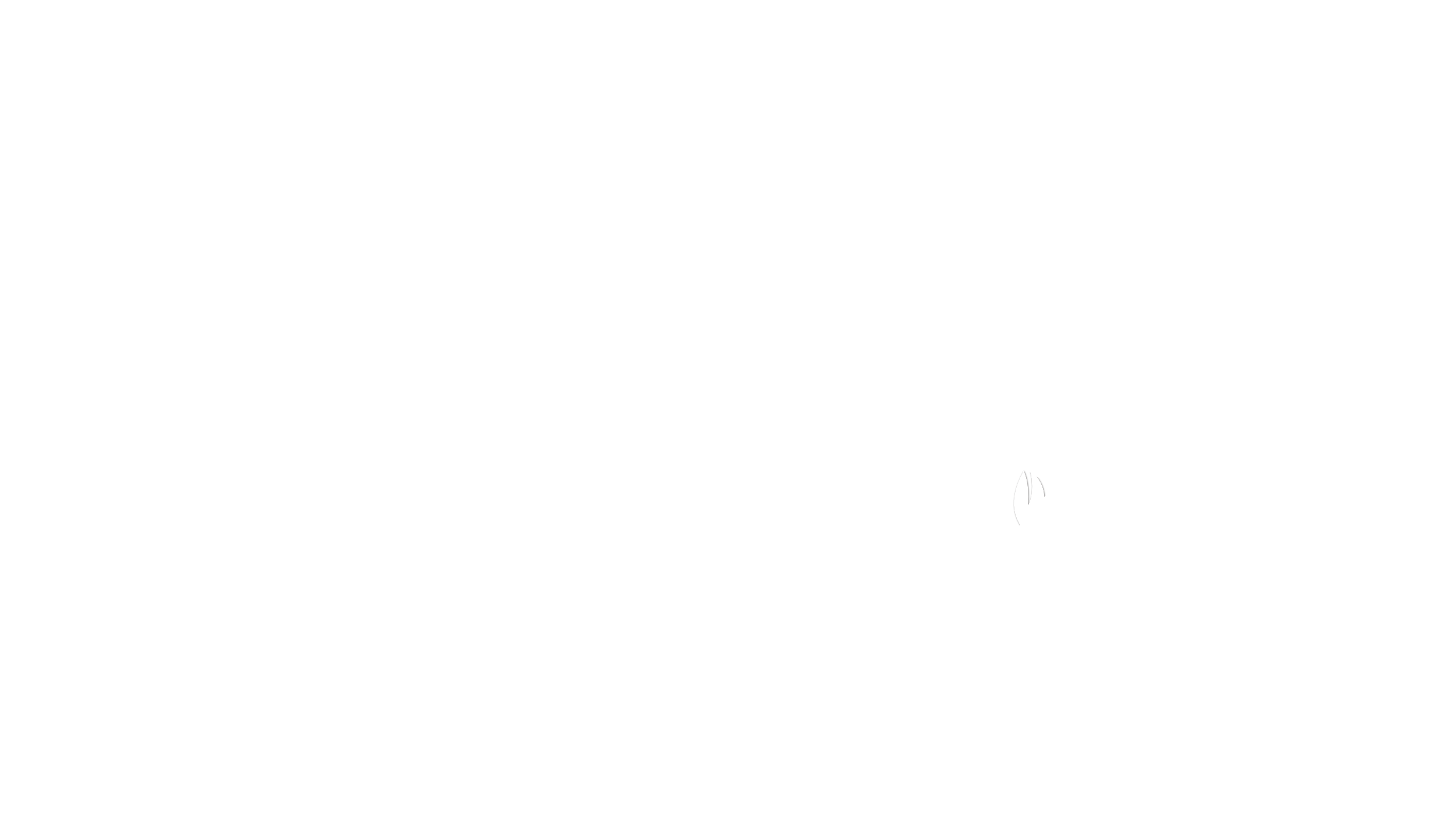 CristinaClerico.com